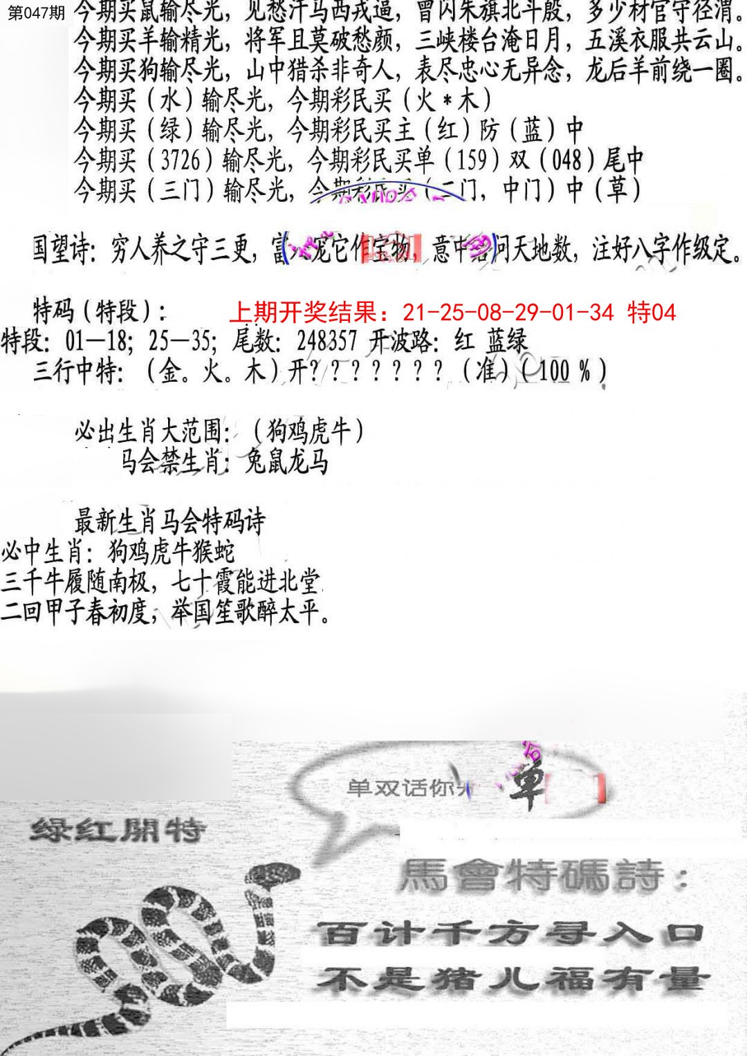 047期蛇报B[图]