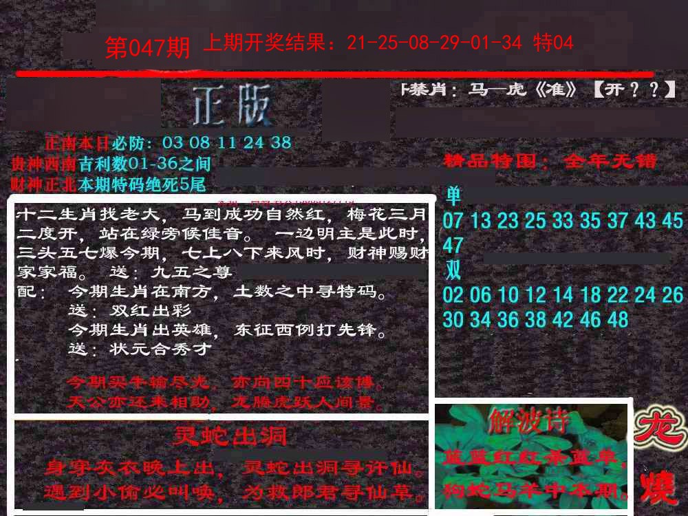 047期新港内幕[图]