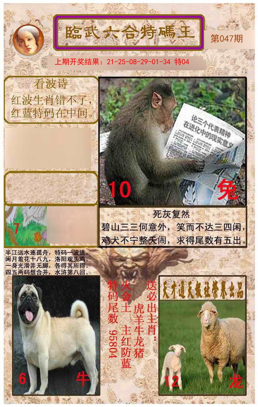 047期临武六合特码王[图]