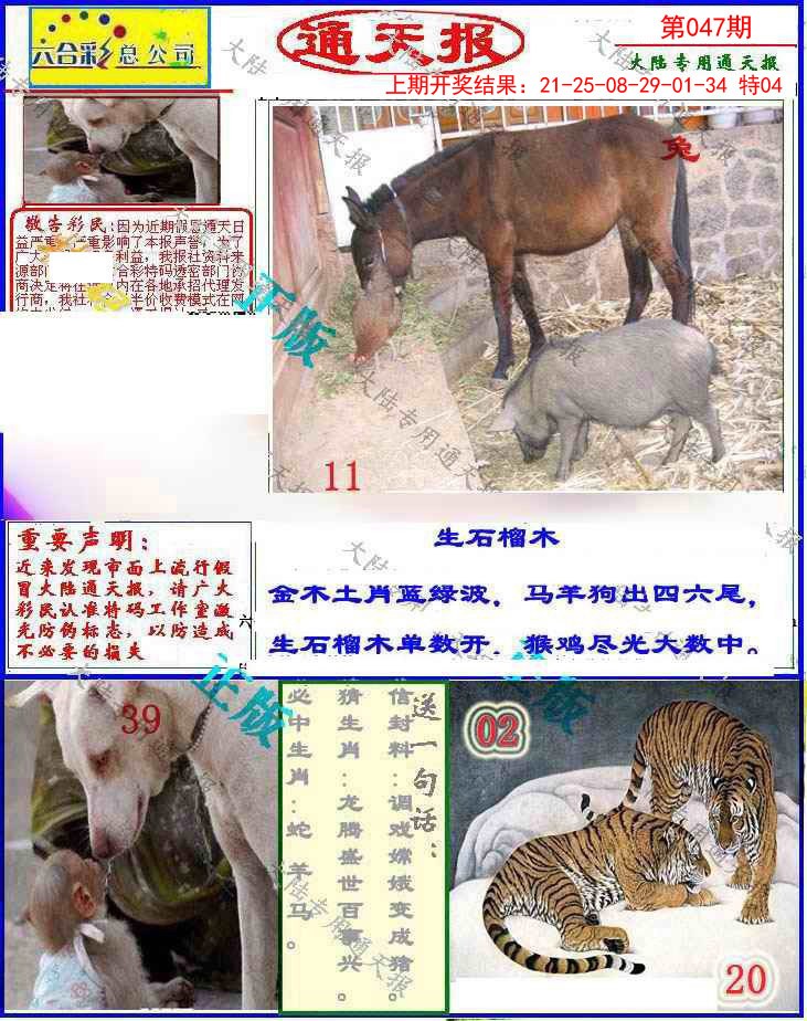 047期大陆通天报[图]