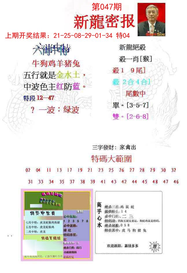047期新龙密报[图]