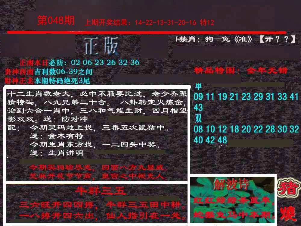 048期新港内幕[图]