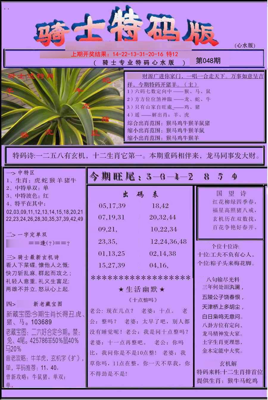 048期骑士特码版[图]
