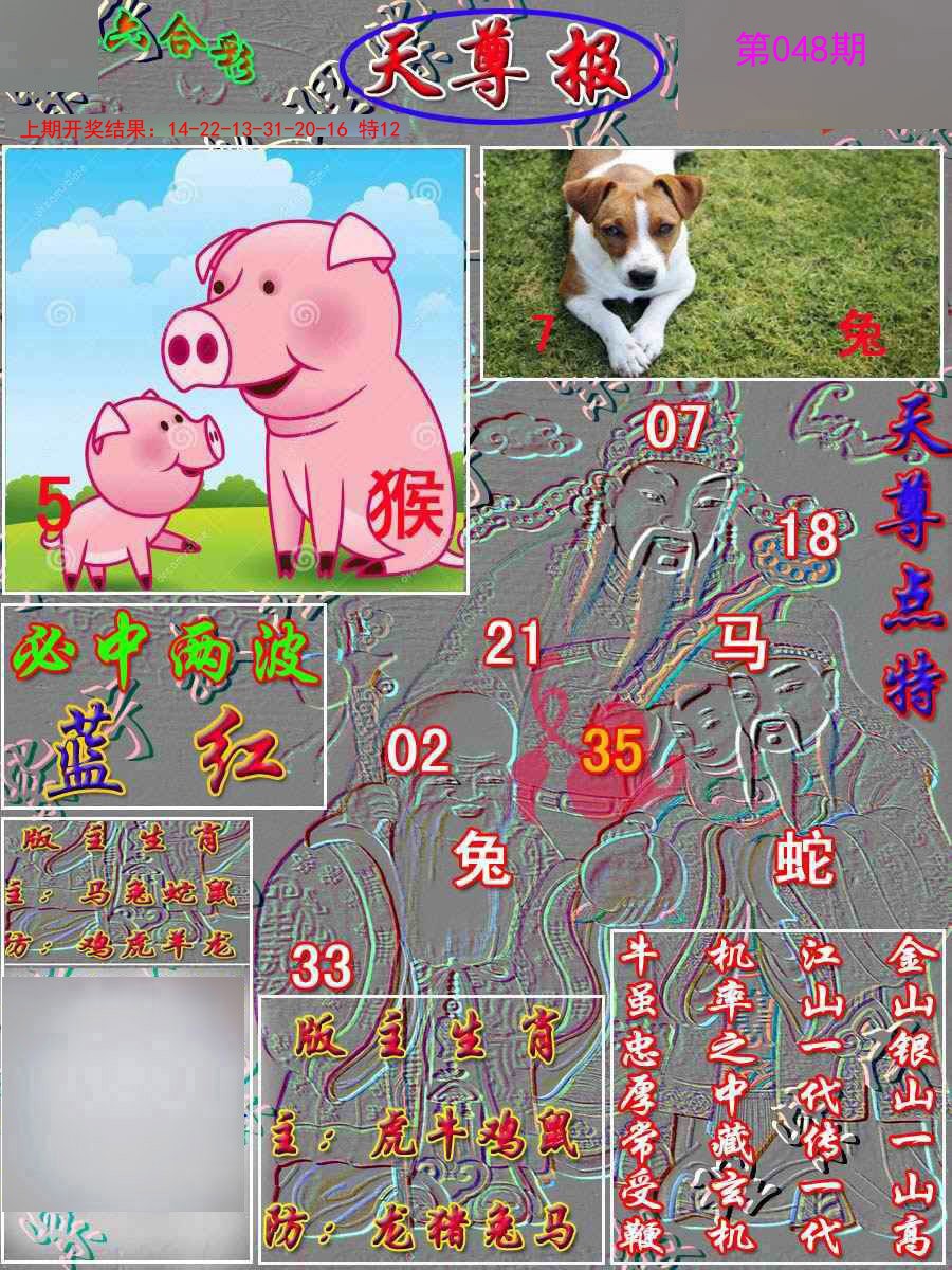 048期天尊报[图]