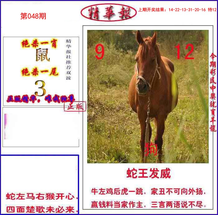 048期新精华报报[图]