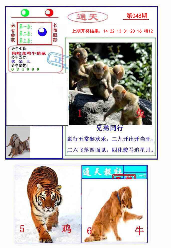 048期通天杀波图2[图]