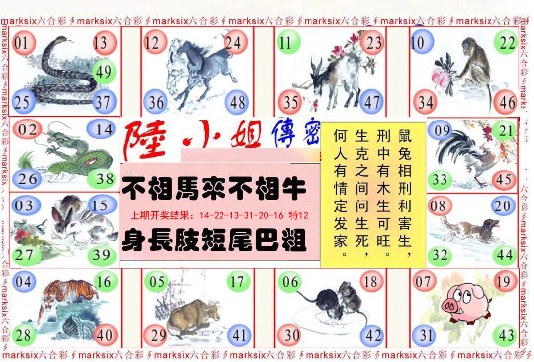 048期陆小姐传密B[图]