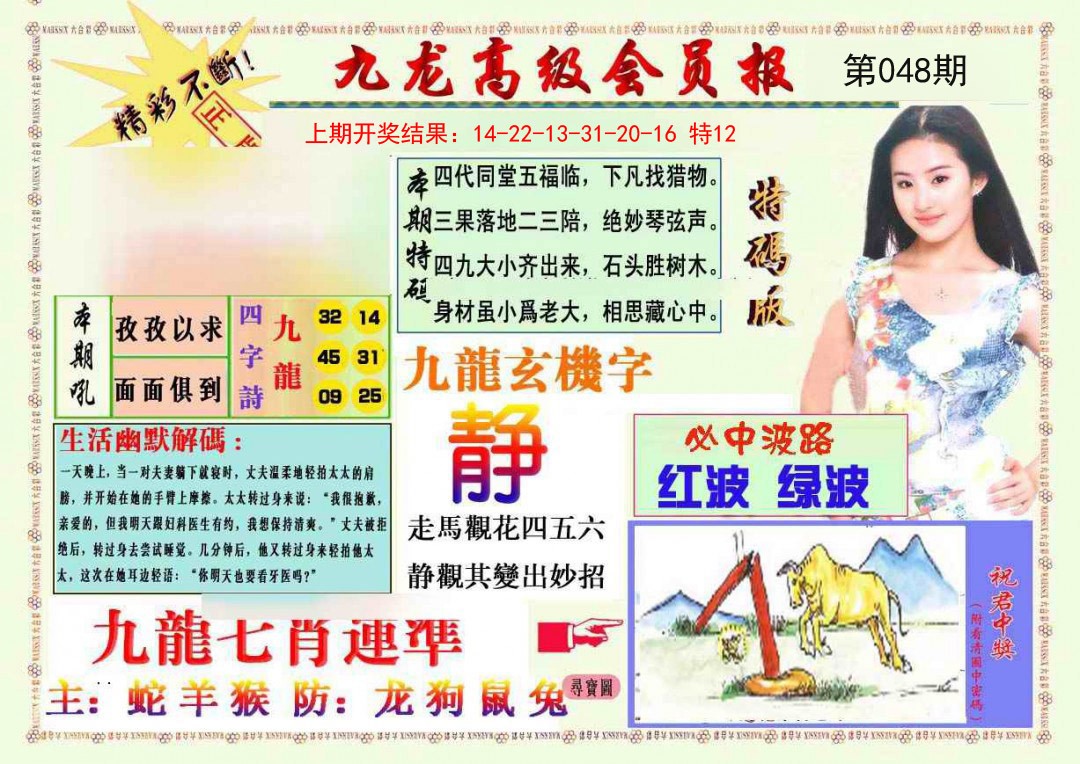 048期九龙高级会员报[图]