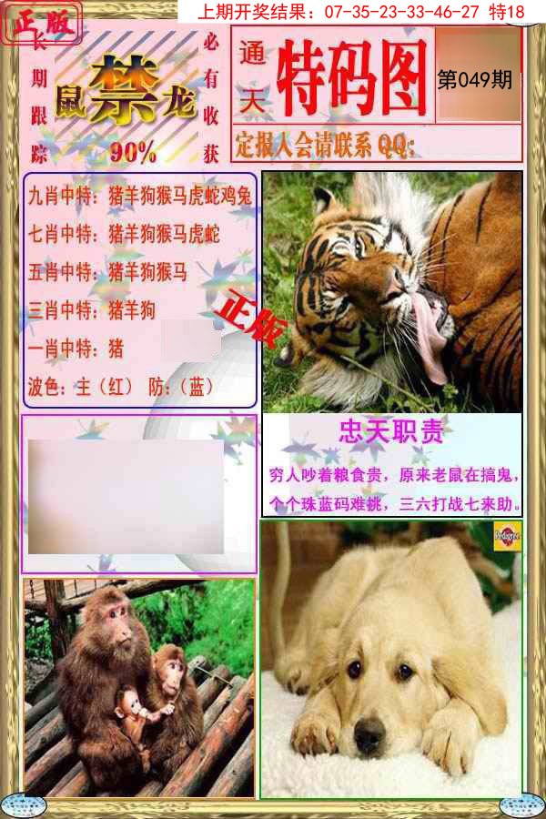 049期特码图[图]
