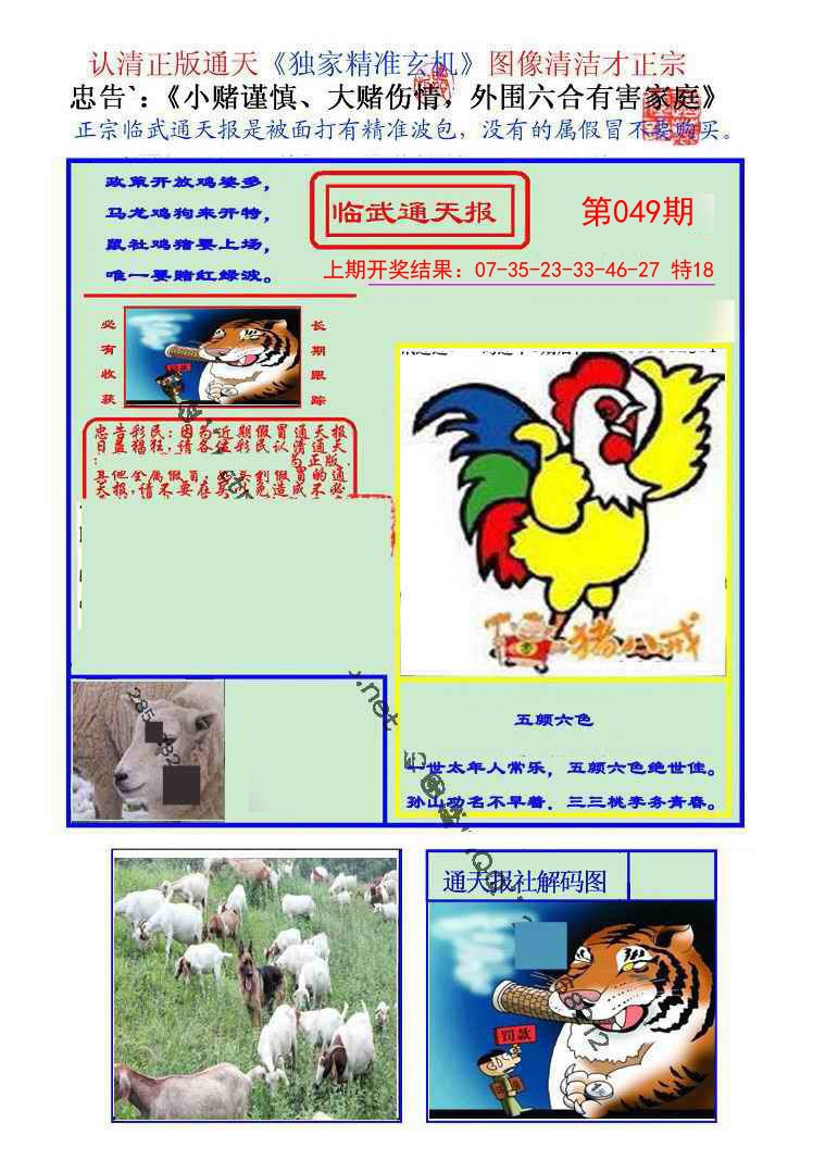 049期临武通天报[图]