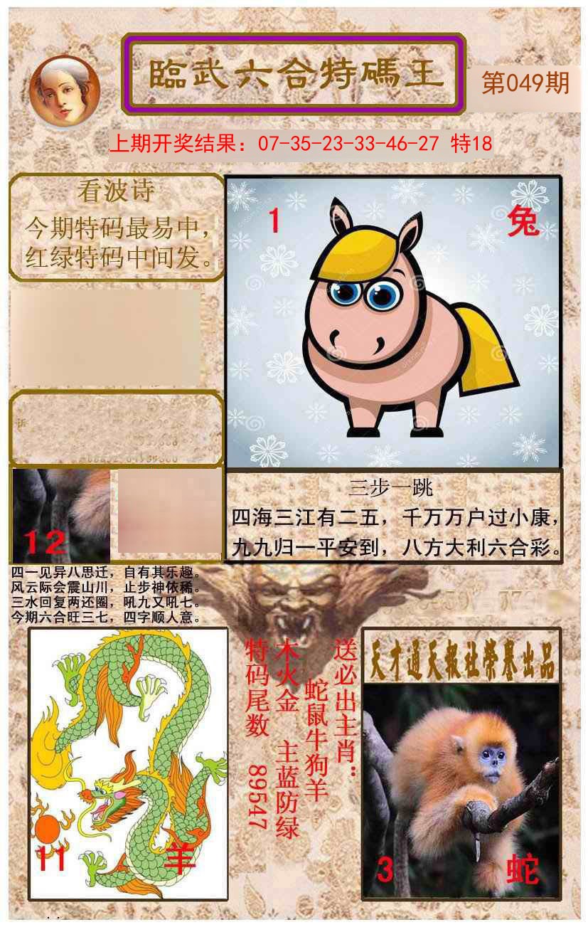 049期临武六合特码王[图]