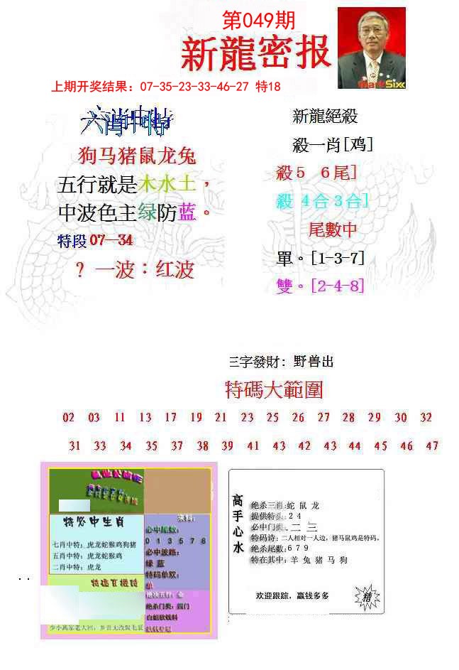 049期新龙密报[图]