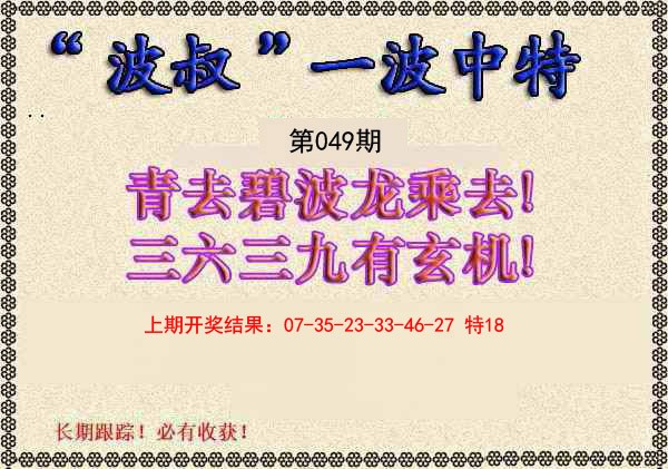 049期波叔一波中特[图]