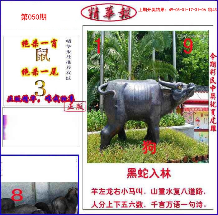 050期新精华报报[图]