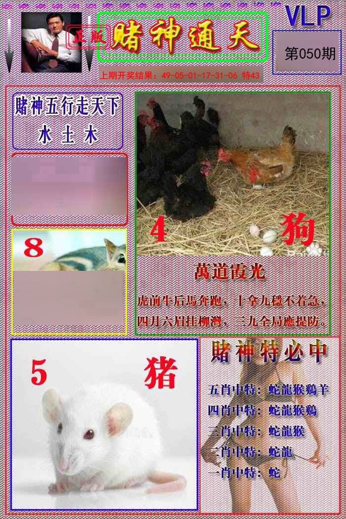050期赌神通天报[图]