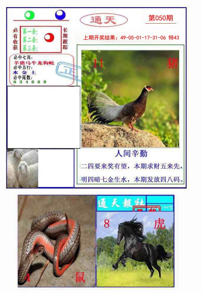 050期通天杀波图2[图]