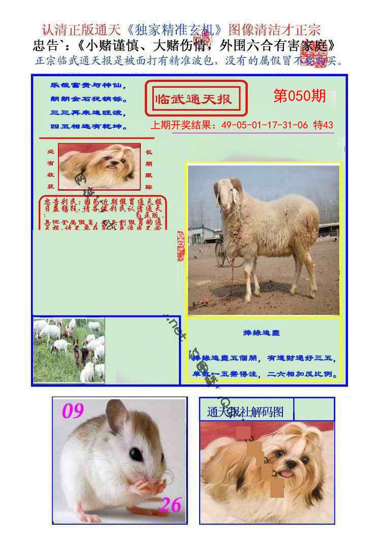 050期临武通天报[图]