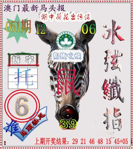051期马头报[图]