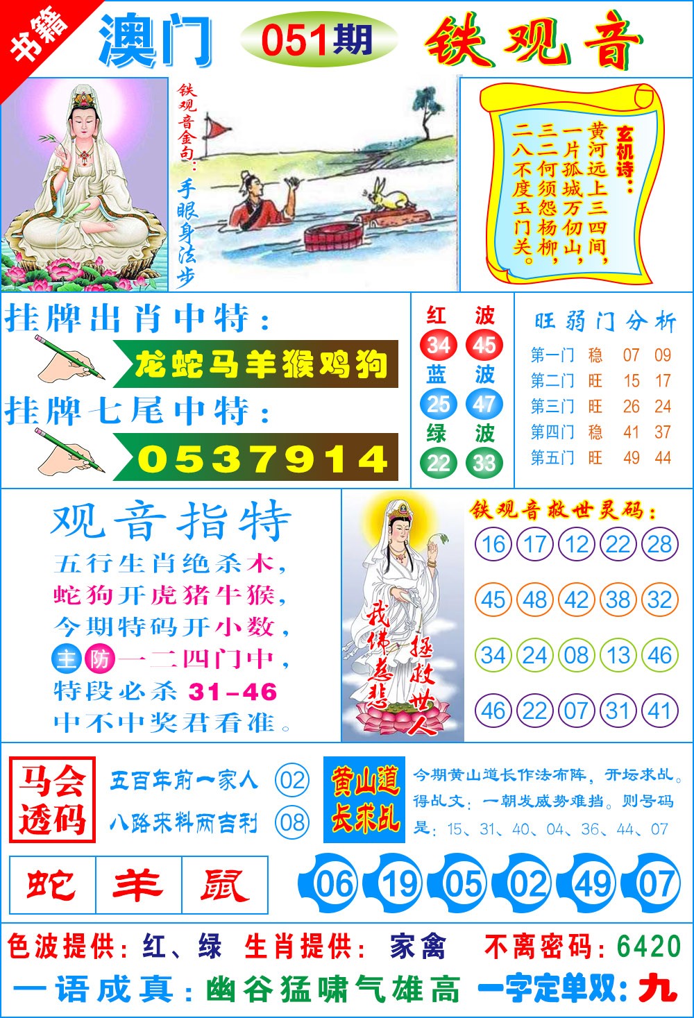 051期澳门铁观音[图]