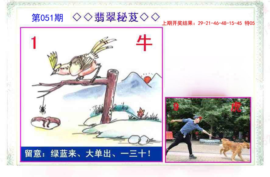 051期翡翠报[图]