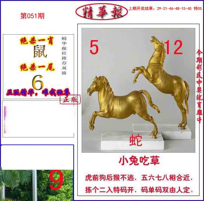 051期新精华报报[图]