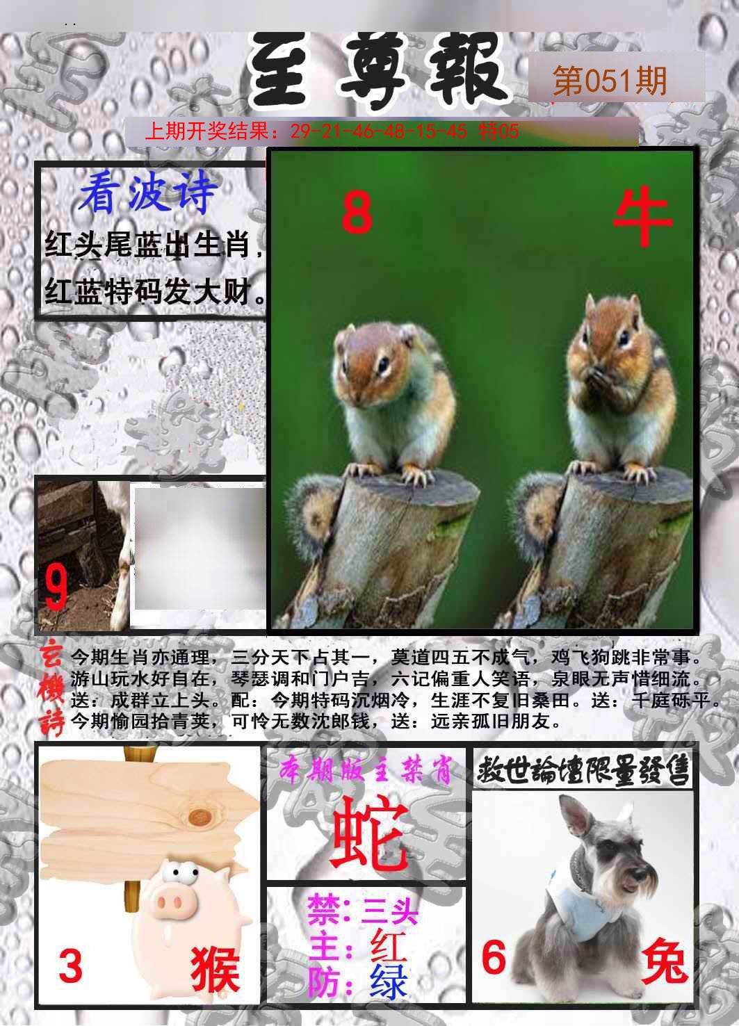 051期至尊报[图]