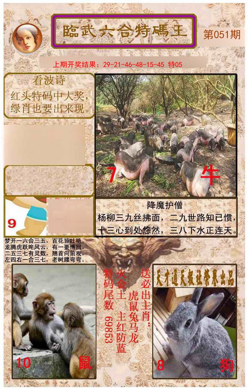 051期临武六合特码王[图]