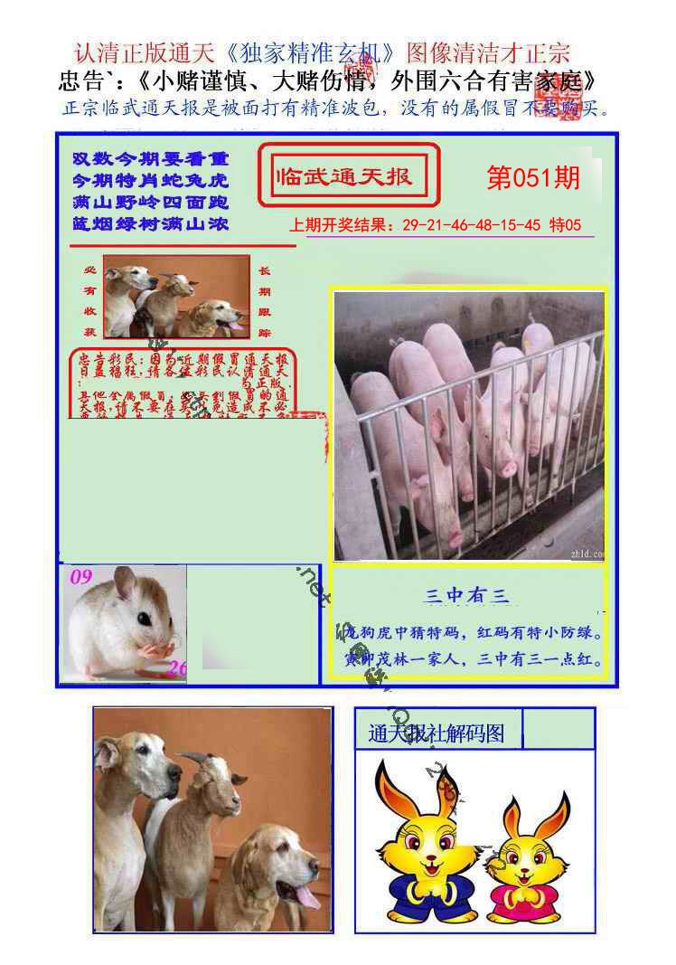 051期临武通天报[图]