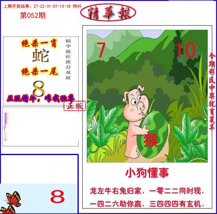 052期新精华报报[图]