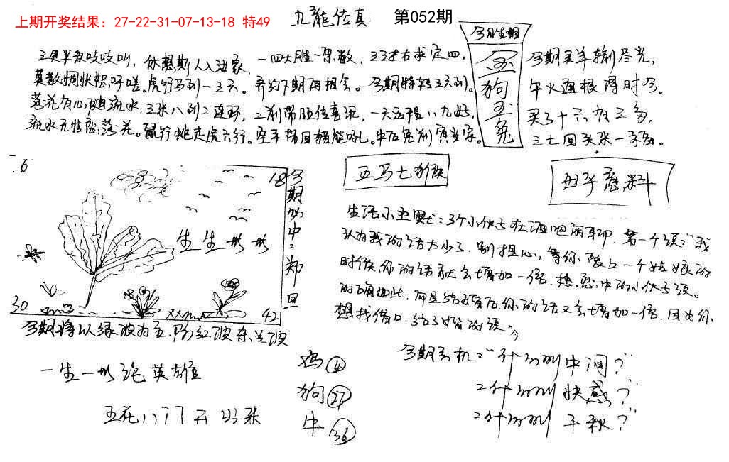052期手写九龙内幕[图]