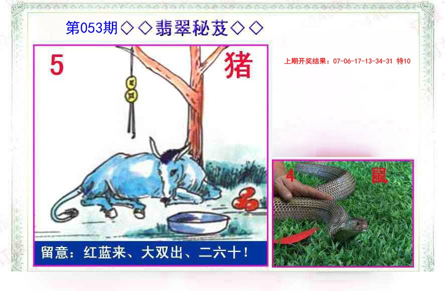 053期翡翠报[图]