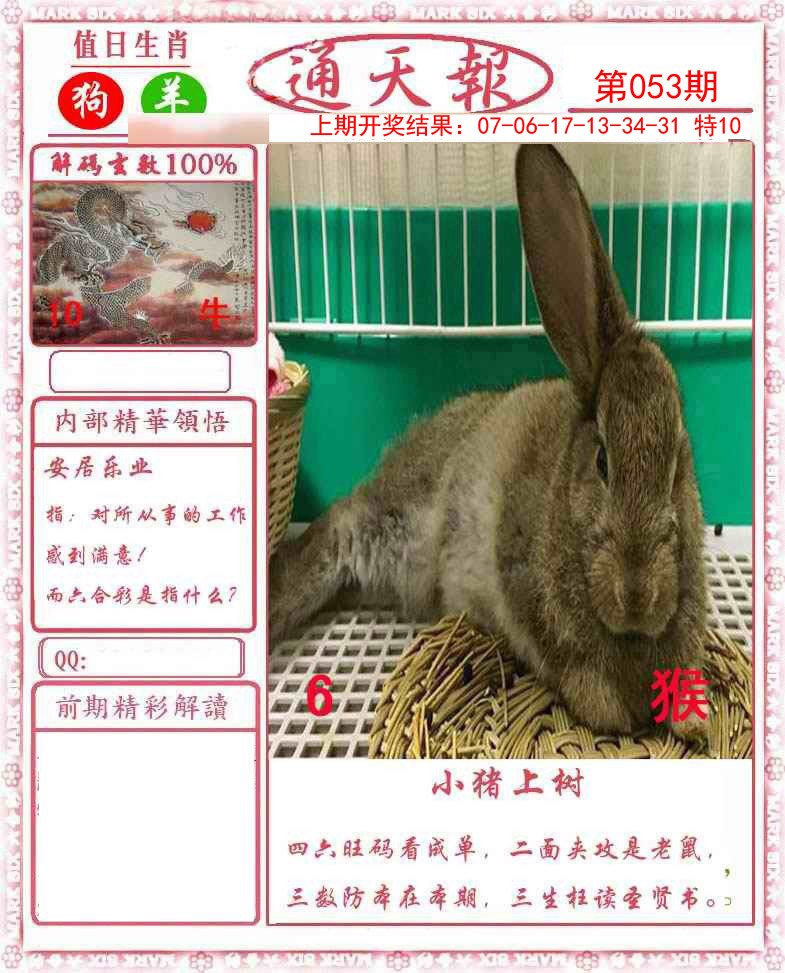 053期正版通天报[图]