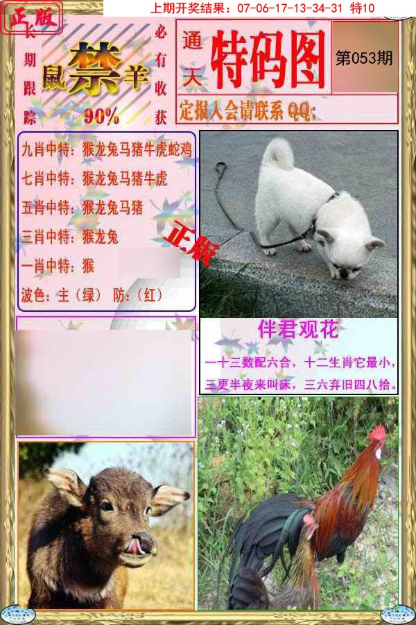 053期特码图[图]