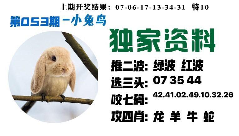 053期小兔鸟[图]