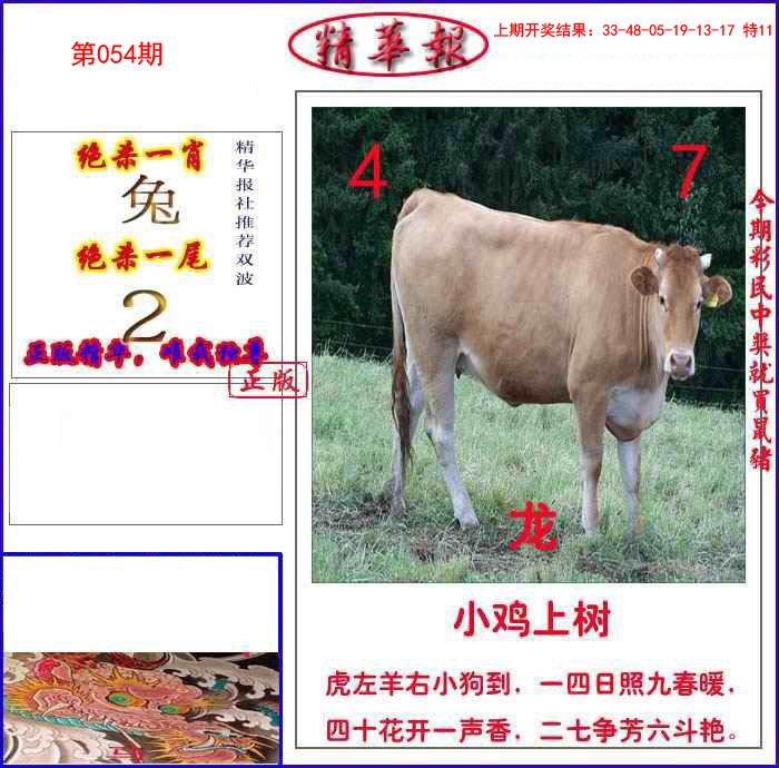054期新精华报报[图]