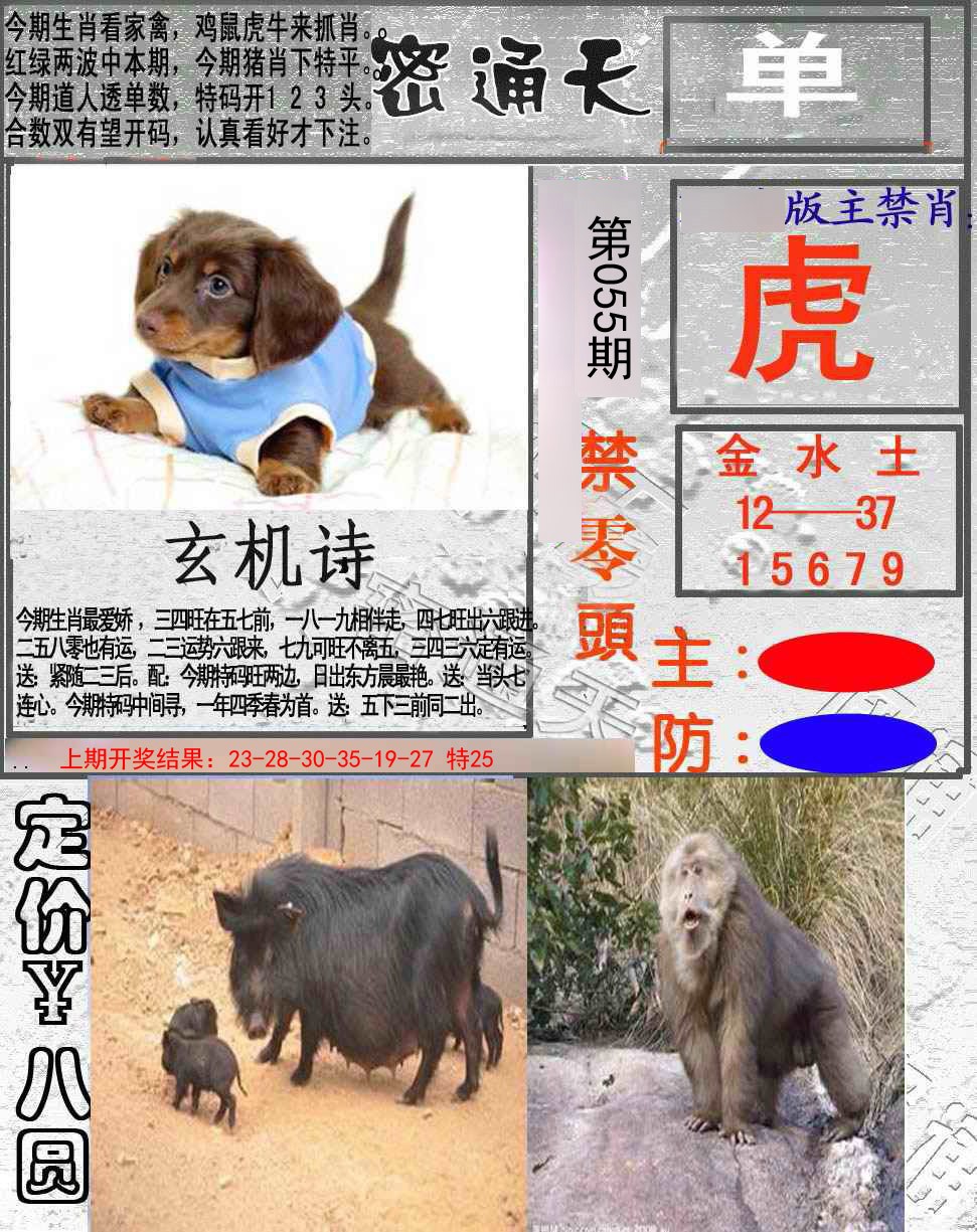 055期密通天[图]