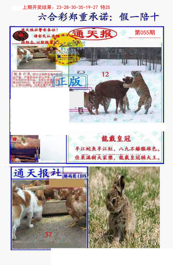 055期假一陪十通天报[图]