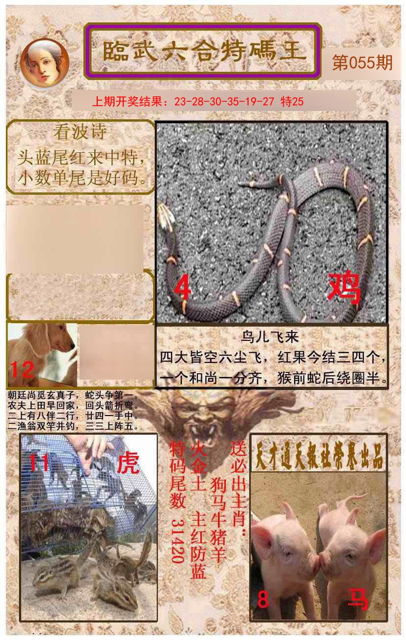 055期临武六合特码王[图]
