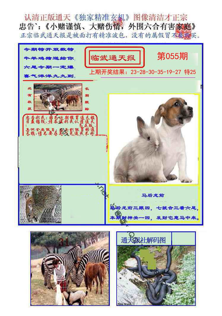 055期临武通天报[图]