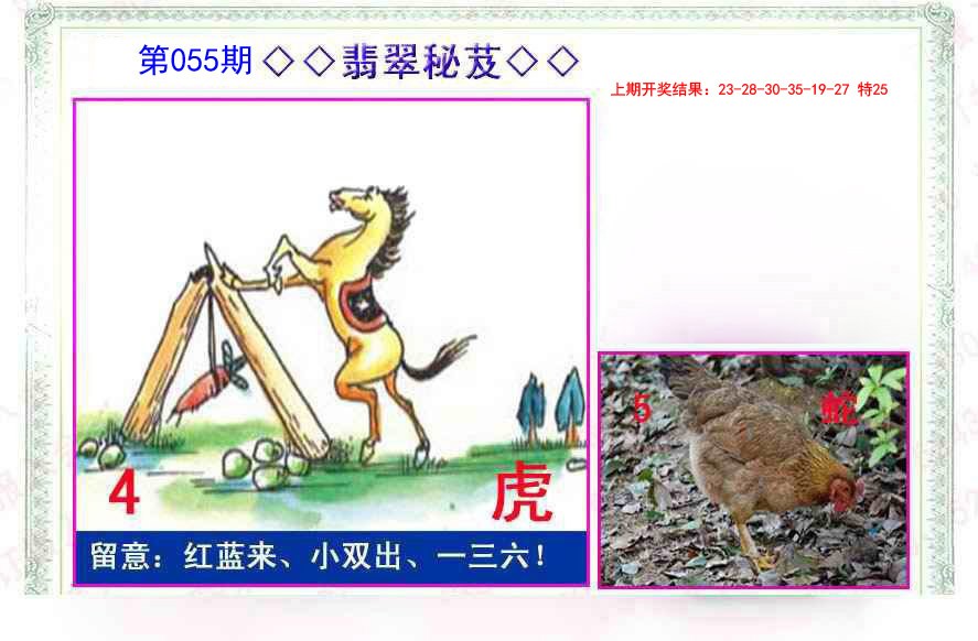 055期翡翠报[图]