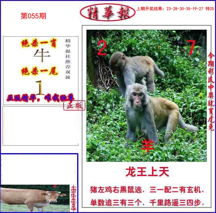 055期新精华报报[图]