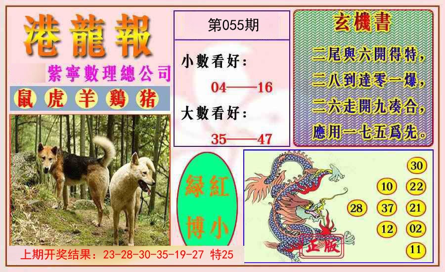 055期港龙报[图]