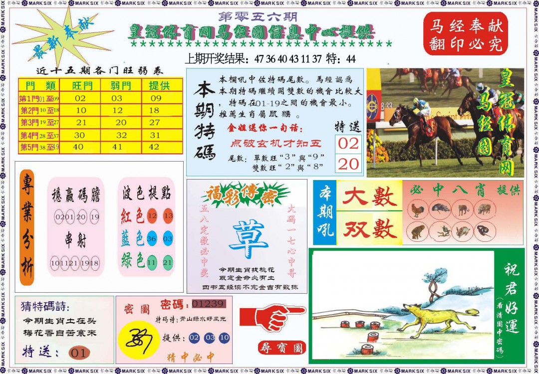 056期体育网马经图[图]
