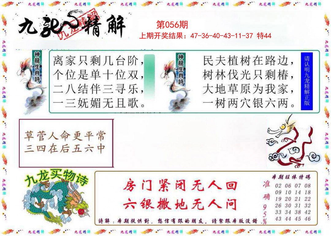 056期九龙精解[图]