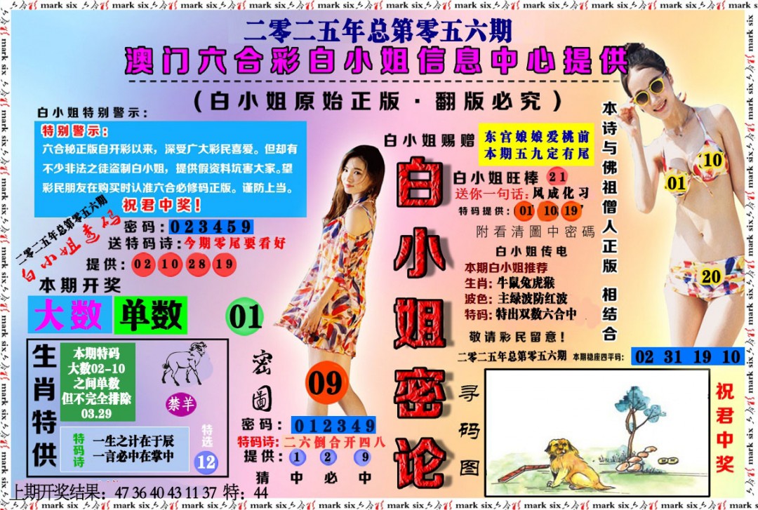 056期白小姐密论[图]