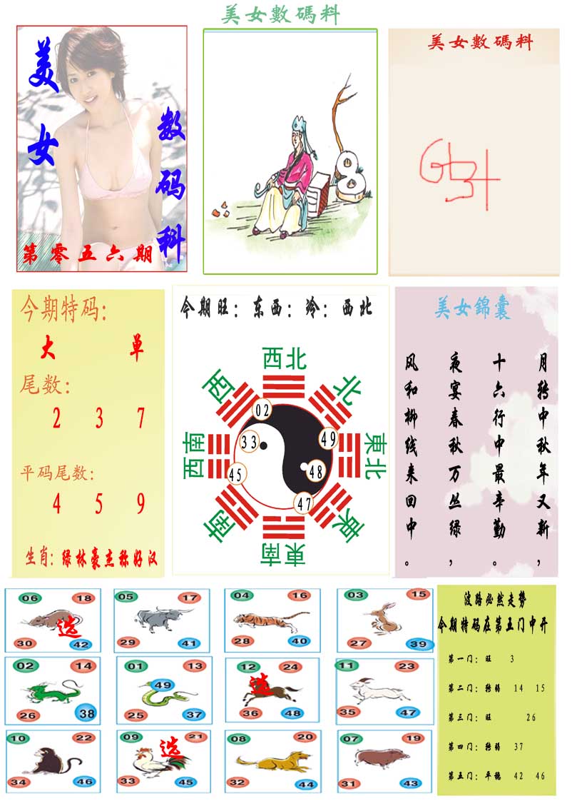 056期美女数码料[图]