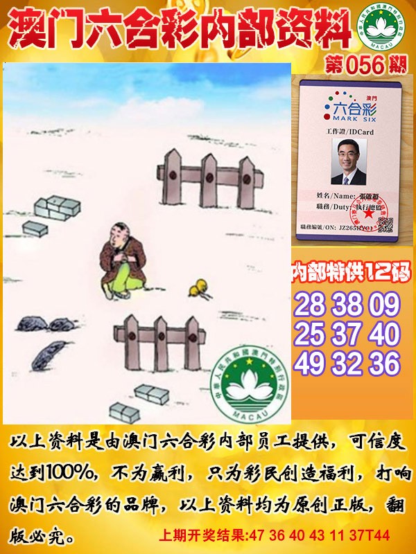 056期六合内部资料[图]