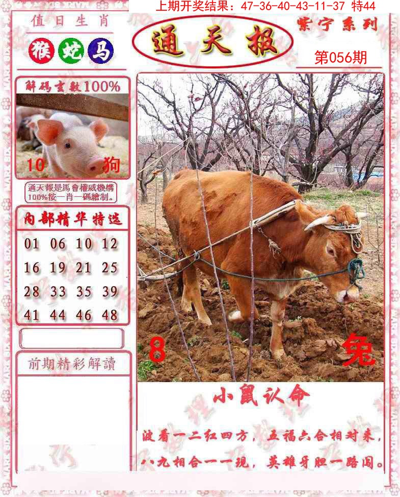 056期救通报[图]