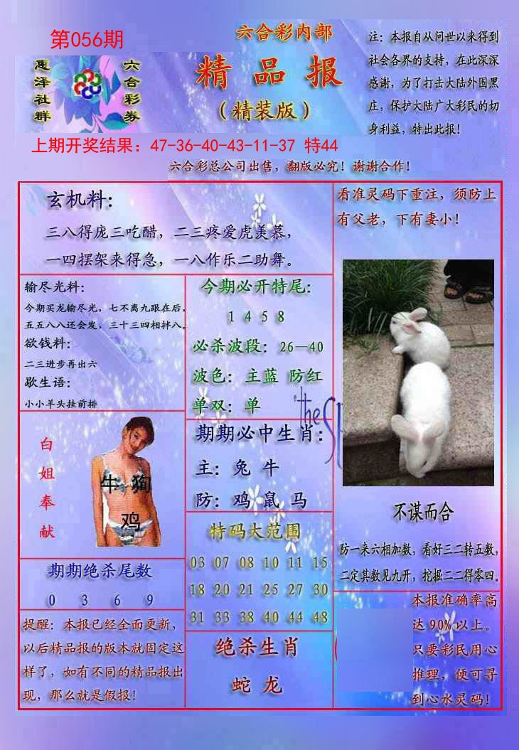 056期精品报[图]