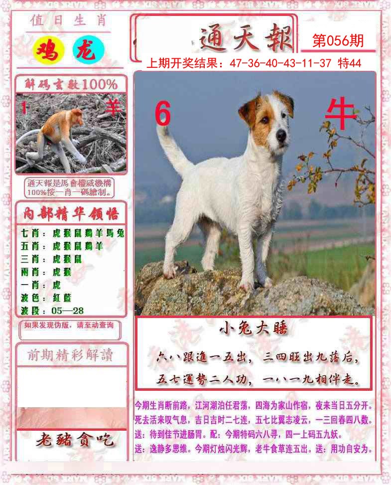 056期马经通天报[图]